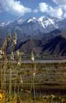 pamir2_small.jpg